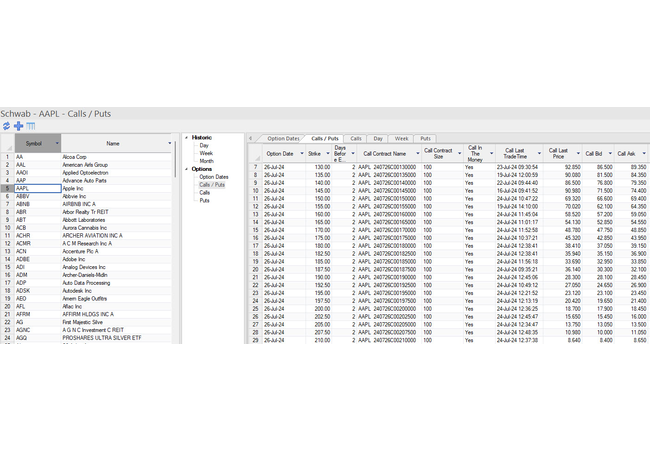 Schwab View Calls / Puts